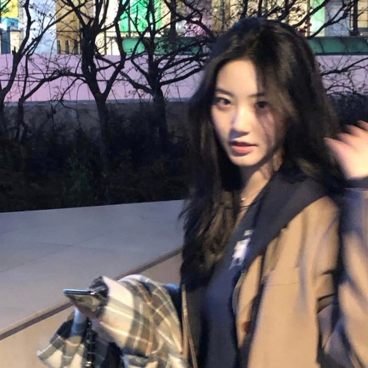 灰叶剑麻